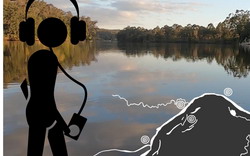 An Audio Walk Along Dyarubbin, the Hawkesbury River