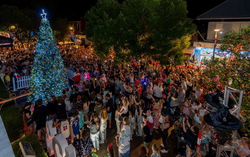 Crowd watching Tree Lighting