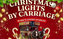 Christmas Lights by Carriage