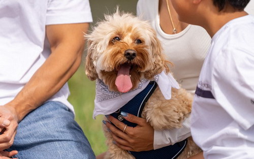 Family with dog